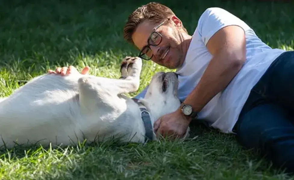 cuando un perro se siente asustado, es posible que se esconda durante días