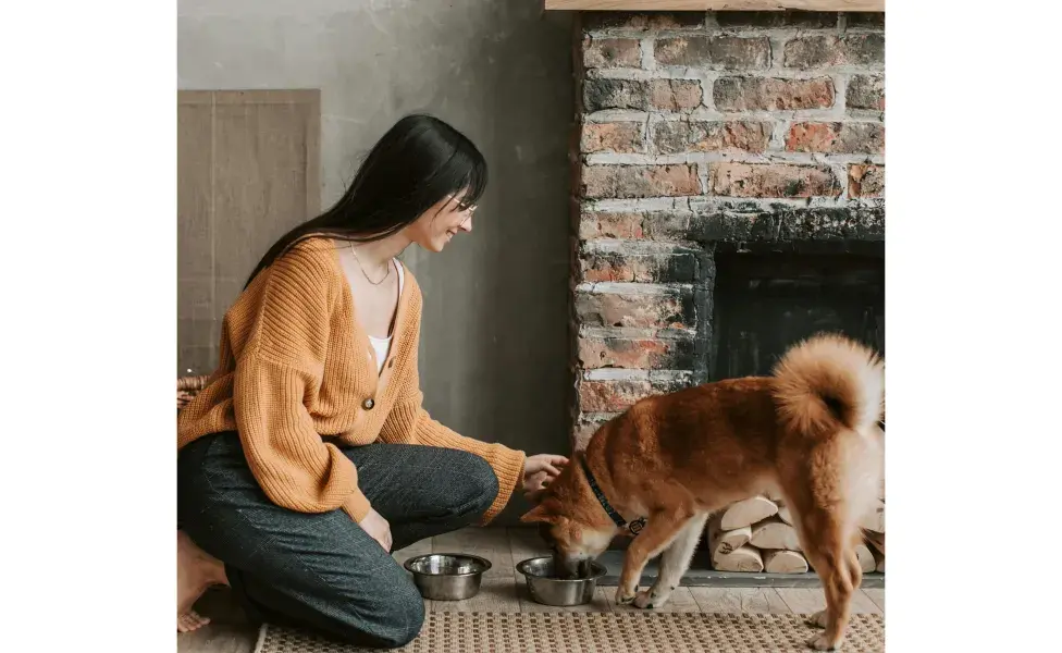 Dueña dándole de comer a su perro. Foto: Pexels/Vlada Karpovich