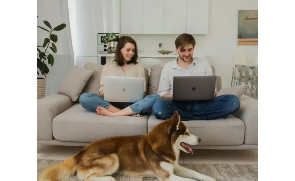 Toma en cuenta a tus compañeros de trabajo. Foto: Pexels/KATRIN BOLOVTSOVA