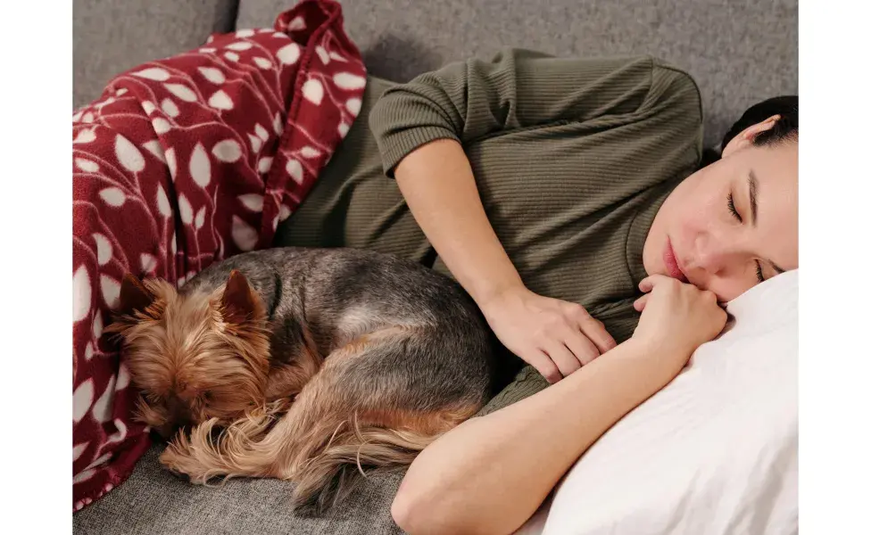 Perro durmiendo con su dueña. Foto:Pexels/Jep Gambardella