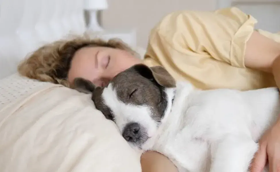 aplicar regra¿Los perros saben qué hora es? perro-durmiendo-con-su-duen%CC%83o