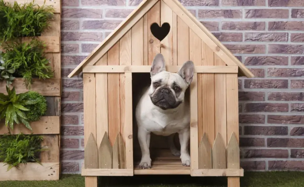 Las casas para mascotas o los refugios de felpa pueden ofrecer un sentimiento de seguridad