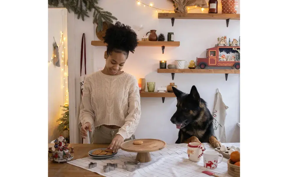 Recuerda que debes revisar con el veterinario si tu perro puede comer ciertos alimentos. Foto: Pexels/ KATRIN BOLOVTSOVA