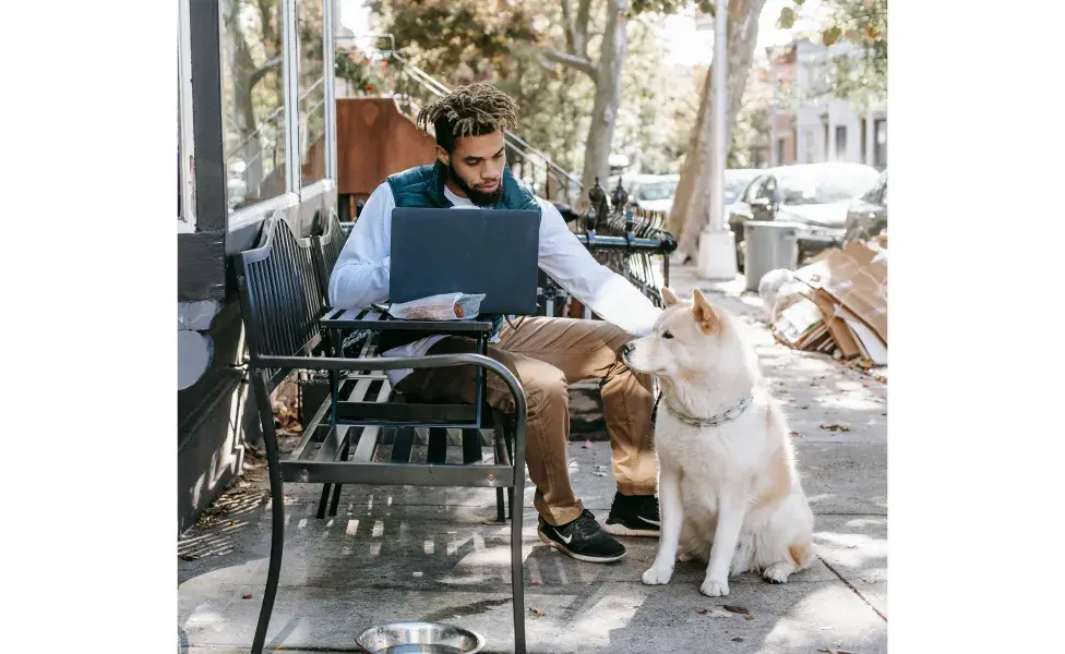 Llevar a tu perro a la oficina aumenta la productividad. Foto: Pexels/Zen Chung