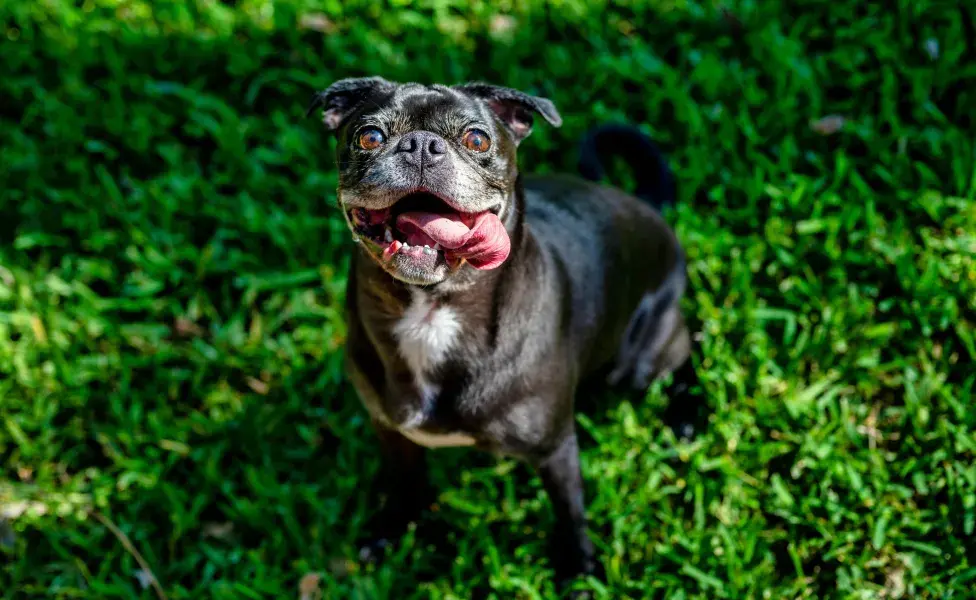 Cuidado con los golpes de calor. Foto: Pexels/Alfo Medeiros