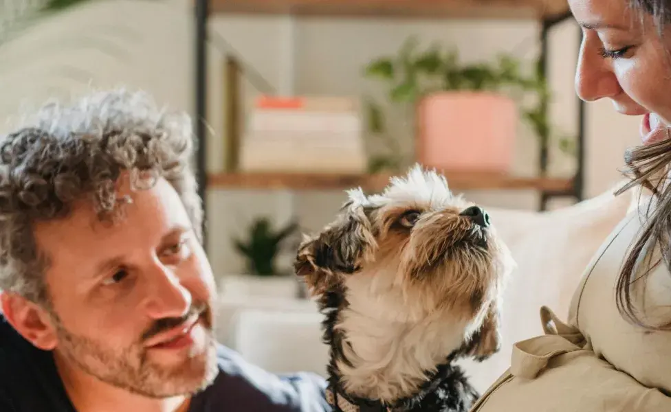 Gánate el amor del perro de tu pareja con sus snacks favoritos. 