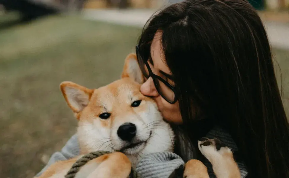 Crea espacios exclusivos para tu perro para bajar la ansiedad.