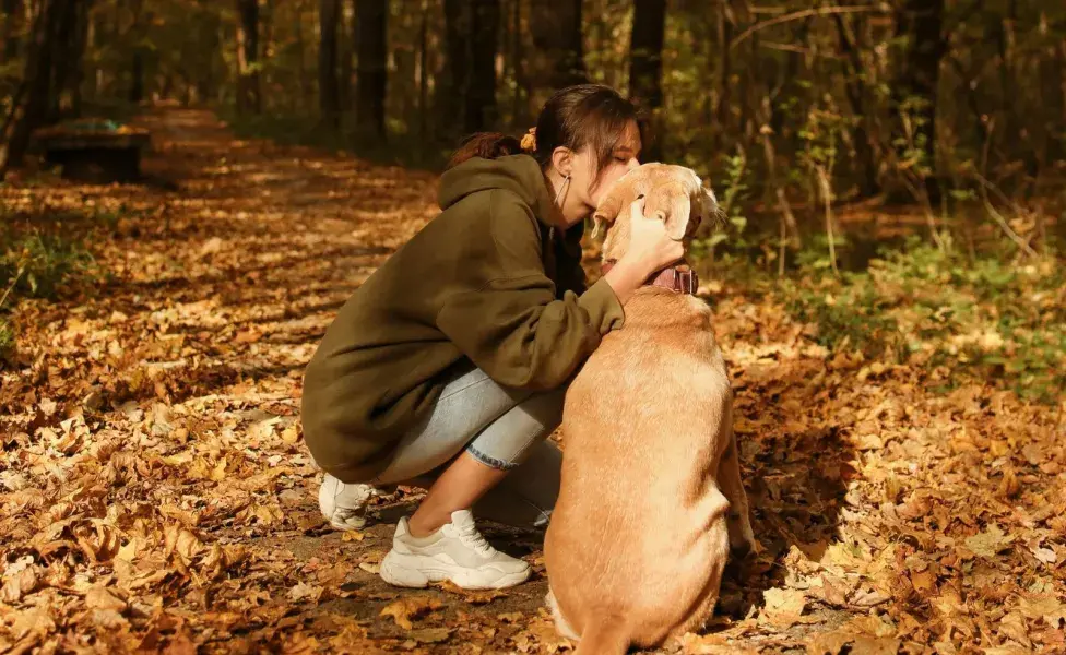 Tu perro tiene que socializar con otros. 