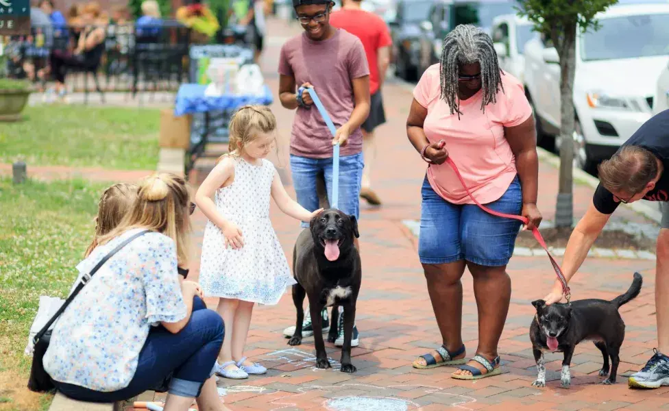 Tu perro puede experimentar ansiedad por la cantidad de gente que hay a su alrededor.