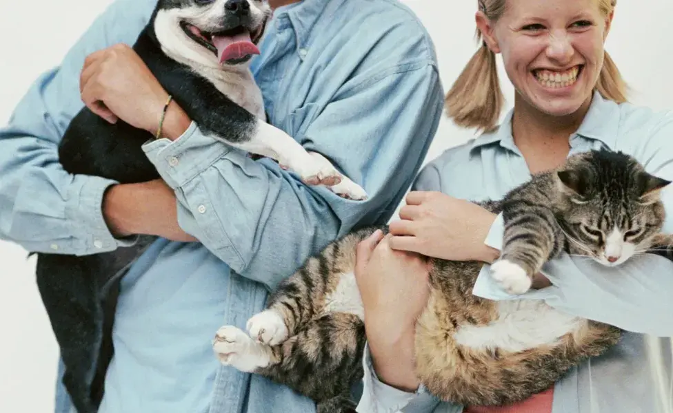 las mascotas pueden servir como un amortiguador emocional en momentos de estrés. 