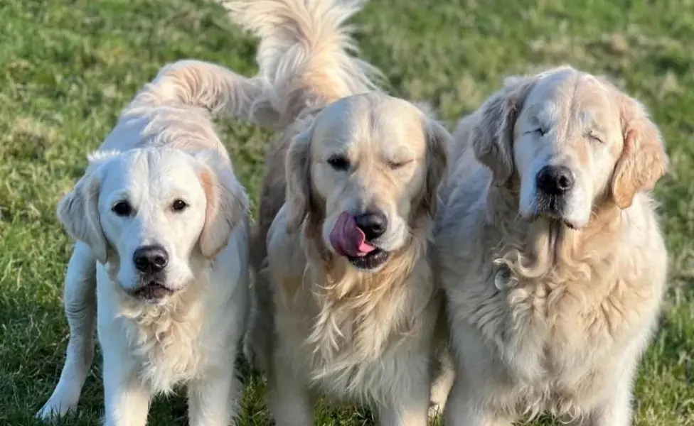 Tao, de 11 años, perdió la vista en 2019 debido a un diagnóstico de glaucoma.