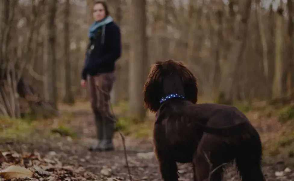 aplicar regra¿Mi perro realmente cree que soy su mamá? woman-and-dog-walking-through-the-woods