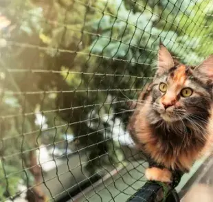 Existen dos tipos de redes de protección para gatos que impiden las huidas y los accidentes.