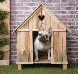 Las casas de madera para perros necesitarán bastante mantenimiento. 