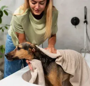 ¿Qué es el grooming en perros?