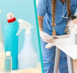 5 productos de limpieza que son potencialmente peligrosos para perros y gatos