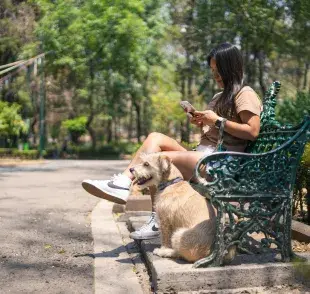 No registrar a tu perro te puede costar. Foto: Pexels/Julio Lopez