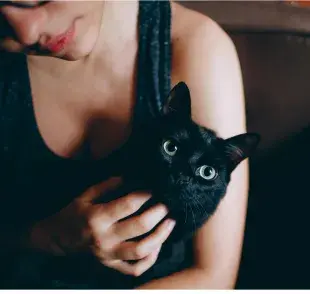 Mujer acariciando a gato negro. Foto: Pexels/Helena Lopes