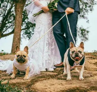 En China, las bodas son todo un negocio. 