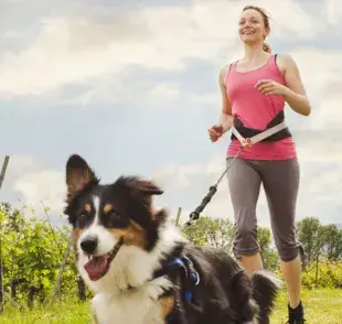 La actividad física es esencial tanto para los humanos como para los perros.