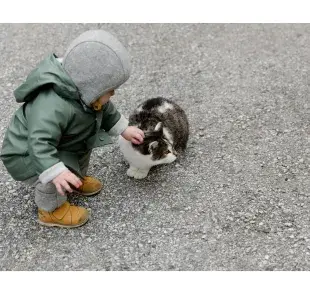 Tener un gato en casa le ayuda a los niños a desarrollar el sentido de responsabilidad. Foto: Pexels/Tatiana Syrikova