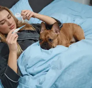 Las mascotas, especialmente perros y gatos, tienen una capacidad notable para percibir los cambios en la salud 