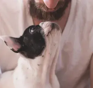 Amas más a tu perro o tu gato que a las personas, esto dice la ciencia