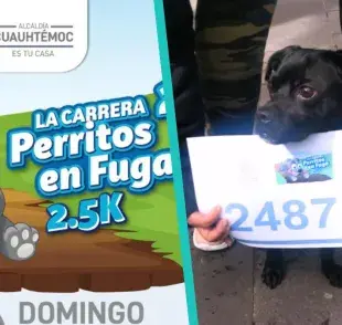 Carrera Perritos en Fuga de la CDMX