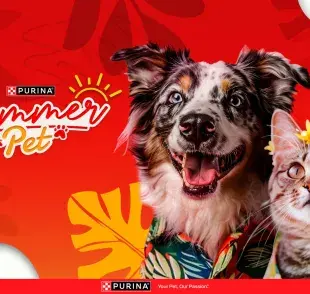 El SummerPet de Purina es el lugar perfecto para encontrar productos y servicios que harán feliz a tu gato.