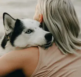 Abrazar a tu perro no es buena señal, pues puedes decirle que algo está mal. 