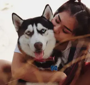 Los perros identifican el tono de voz de sus dueños.