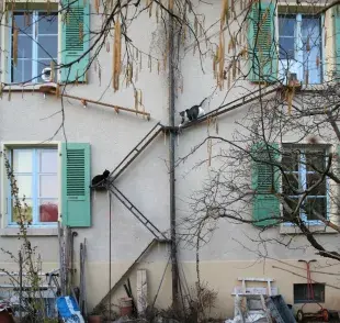 Las casas en Suiza tienen escaleras para gatos.