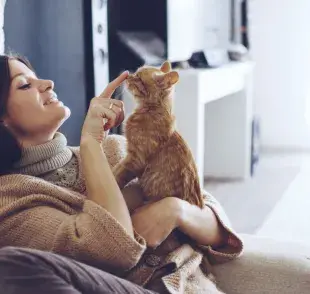 Los gatos pueden diferenciar la voz de su dueño de la de extraños.