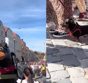 El desfile de perros salchicha se organizó con motivo del Oktoberfest. 