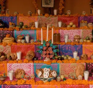 La ofrenda para perros ayuda a sanar. 