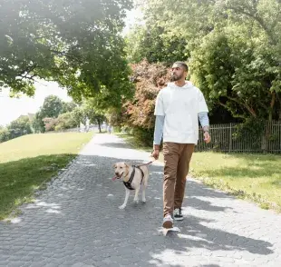 Un enfoque gradual puede ser muy efectivo para ayudar al perro a superar sus miedos.