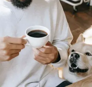 Tanto los perros como los gatos son muy sensibles a ciertos componentes del café.