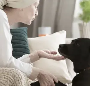 La capacidad olfativa de los perros es extraordinaria y ha sido ampliamente estudiada.