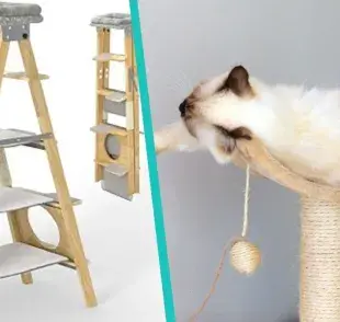 ¡Construye una torre navideña para tu gato!