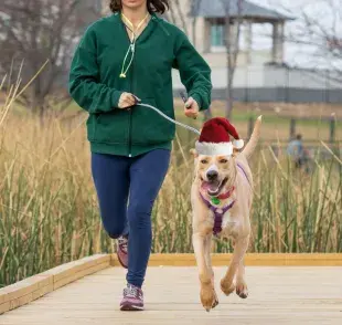 Participa en la primera carrera recreativa de Navidad para mascotas en Bogotá