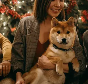 Recuerda que la cena de Navidad no es necesariamente buena para tu perro. 