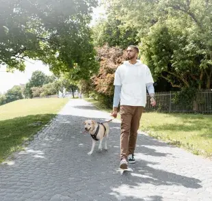 La caminata debe ser placentera tanto para ti como para tu perro.