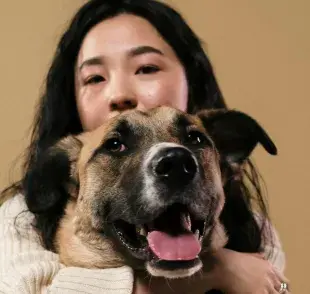 Esta herramienta podría mejorar la vida de los perros para poder saber si tienen algún problema.