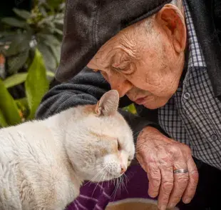 Los gatos son excelentes compañeros para personas mayores.