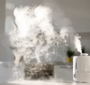 scoge un humidificador que cubra el espacio donde tu perro pasa más tiempo.