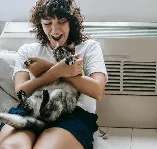 Los gatos tienen el ombligo escondido entre su pelo.