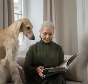 Los perros, con su agudo sentido de observación, pueden captar señales que los humanos no perciben.