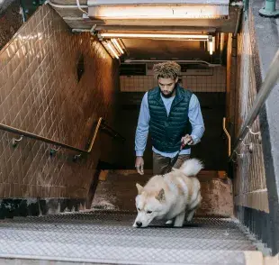 El metro no es un lugar diseñado para que los perros exploren libremente.