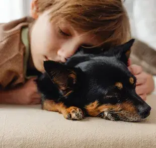 Los perros seleccionados para estas terapias destacan por su temperamento amigable.