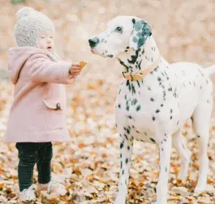 Por una mala experiencia, los perros pueden tenerle miedo a los niños.